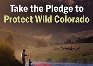 Take the Pledge graphic