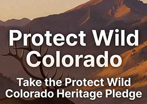 Protect Wild Colorado graphic
