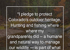 Take the Pledge graphic 2